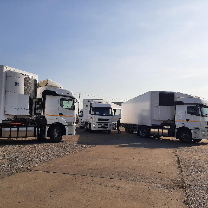 Полуприцепы-рефрижераторы КАМАЗ-UzautoTrailer для крупного корпоративного клиента Полуприцепы-рефрижераторы КАМАЗ-UzautoTrailer для крупного корпоративного клиента
