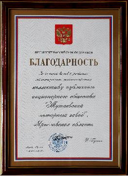 Благодарность от Президента России